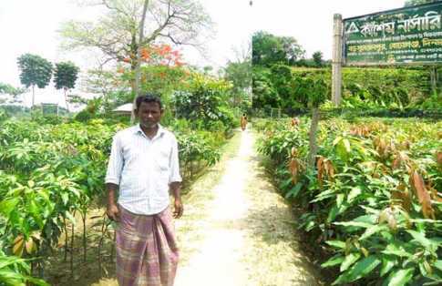 গাছের চারায় ভাগ্য বদল
